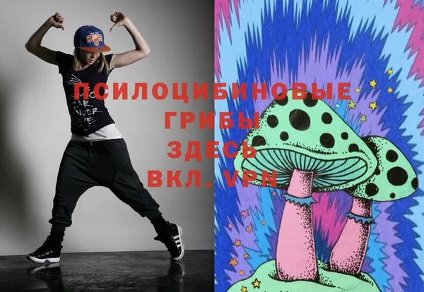 хмурый Балахна