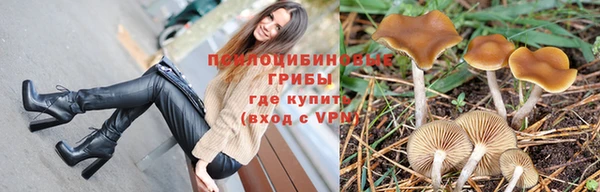 трава Балабаново