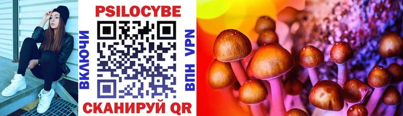 Псилоцибиновые грибы Psilocybe  цены наркотик  Лагань 